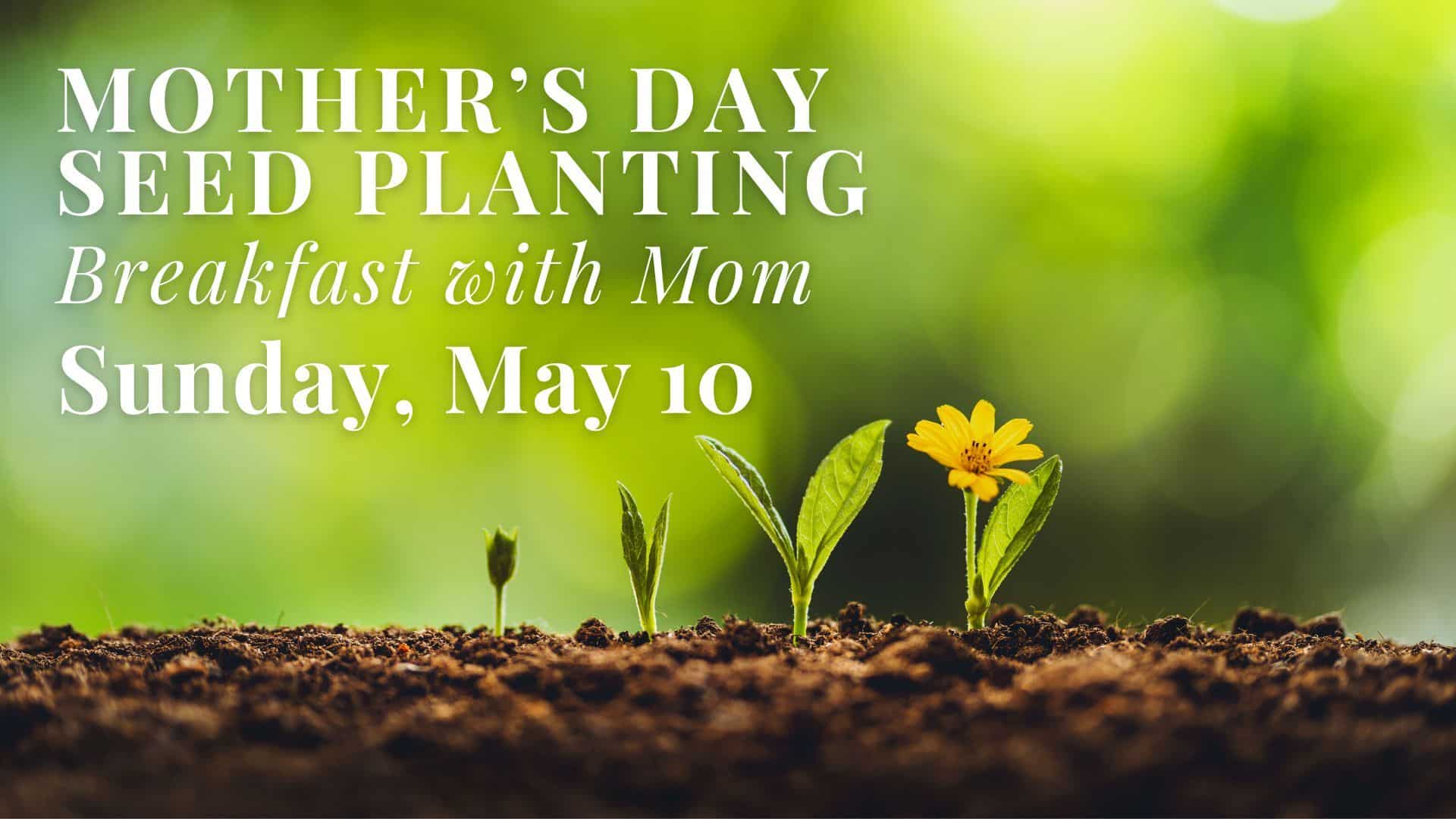 Mother's Day: Seeds, Breakfast & a Celebration of Love Event
